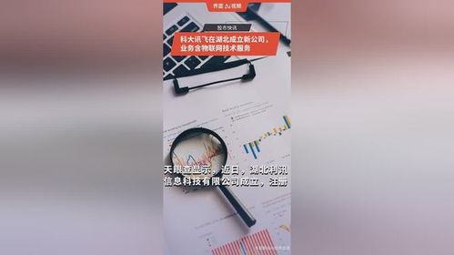 科大訊飛在湖北成立新公司，拓展物聯(lián)網(wǎng)技術(shù)服務版圖